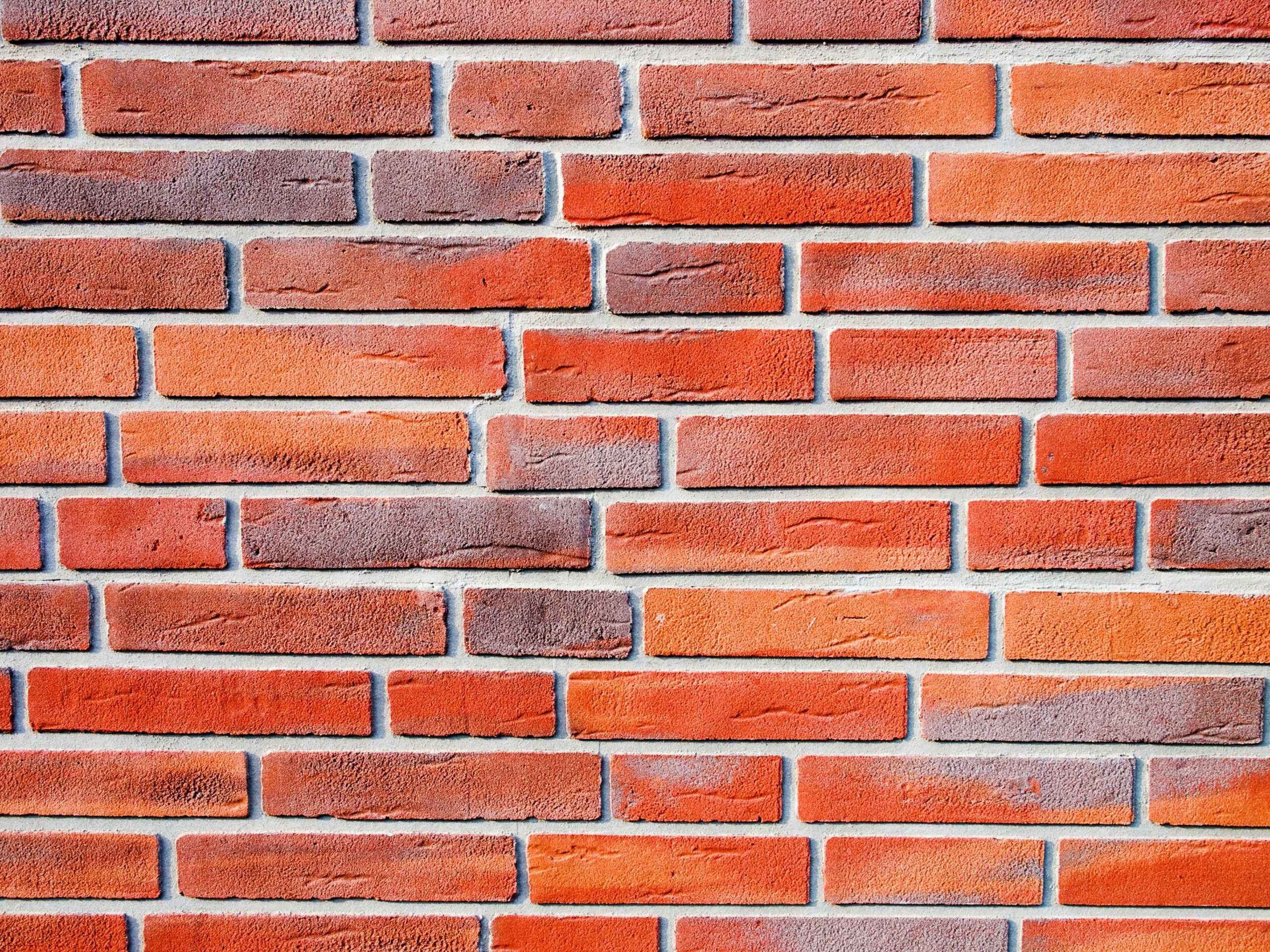 Getting the basics right: Cartwright v Pond